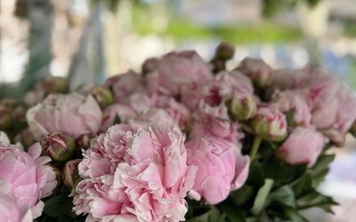 Quelle magnifique 9ème édition ! &#127800;✨