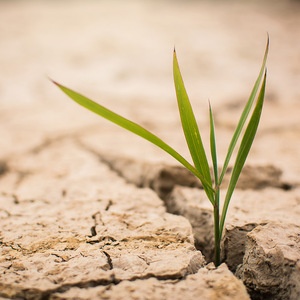 Catastrophe naturelle sècheresse reconnue pour 2023 : du 1er Avril au 30 (…)