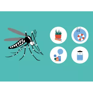 Moustique tigre : comment s'en débarrasser ?