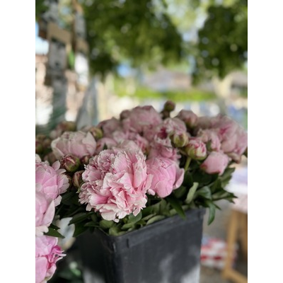 Quelle magnifique 9ème édition ! &#127800;✨