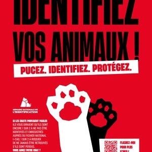 Semaine Nationale de l'Identification des animaux – Du 15 au 21 juin 2026