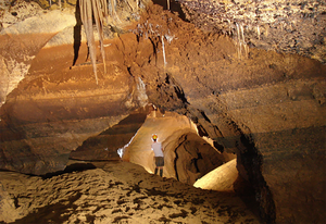 Projection du film "La Grotte de la Foux"