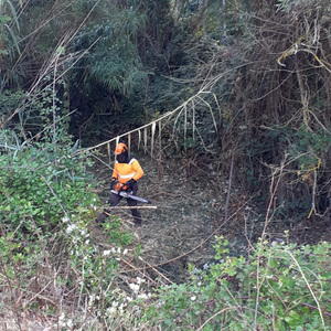 Entretien des berges de la Reppe et du Grand Vallat par le SMRGV