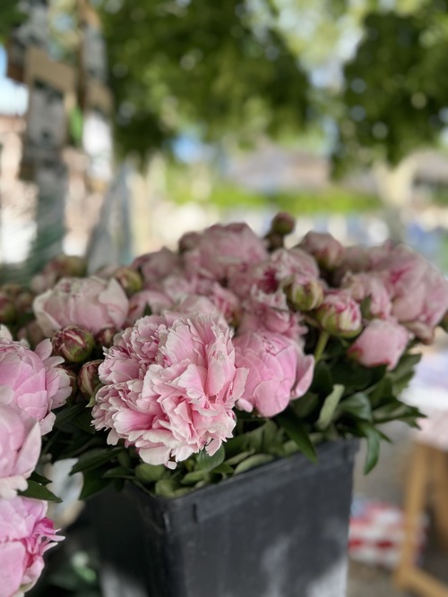 Quelle magnifique 9ème édition ! &#127800;✨